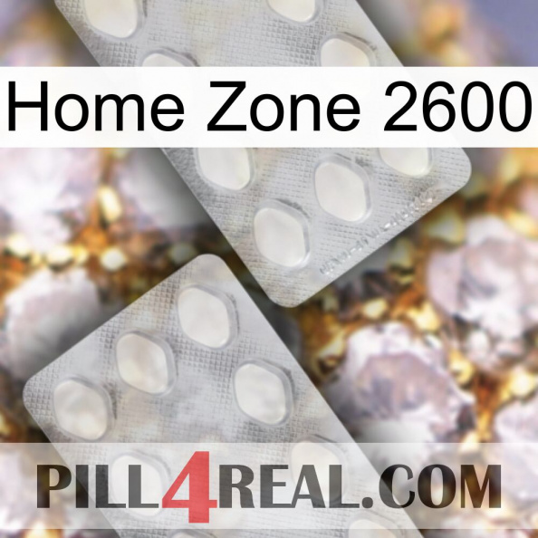 Home Zone 2600 17.jpg